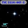 TYC 3114-447-1