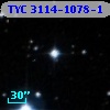 TYC 3114-1078-1