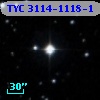 TYC 3114-1118-1