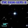 TYC 3114-1175-1