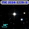 TYC 3114-1229-1