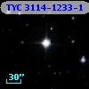 TYC 3114-1233-1