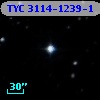 TYC 3114-1239-1