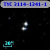 TYC 3114-1341-1