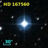 HD 167560