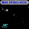IRAS 18203+4231