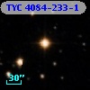 TYC 4084-233-1