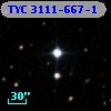 TYC 3111-667-1