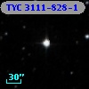 TYC 3111-828-1