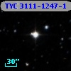 TYC 3111-1247-1