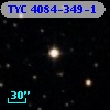 TYC 4084-349-1