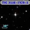 TYC 3116-1929-1
