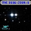 TYC 3116-2318-1