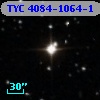 TYC 4084-1064-1