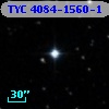TYC 4084-1560-1