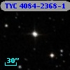 TYC 4084-2368-1