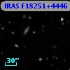 IRAS F18251+4446