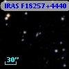 IRAS F18257+4440