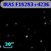 IRAS F18283+4236