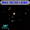 IRAS 18243+4201