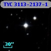 TYC 3113-2137-1
