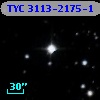 TYC 3113-2175-1