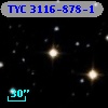 TYC 3116-878-1