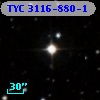 TYC 3116-880-1