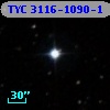 TYC 3116-1090-1