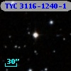 TYC 3116-1240-1