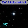 TYC 3116-1441-1