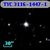 TYC 3116-1447-1