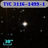 TYC 3116-1499-1