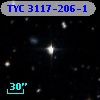 TYC 3117-206-1