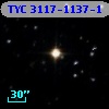 TYC 3117-1137-1