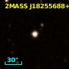 2MASS J18255688+4209068