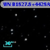 WN B1827.8+4428A