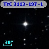 TYC 3113-197-1