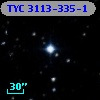 TYC 3113-335-1