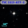 TYC 3113-677-1