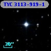 TYC 3113-919-1