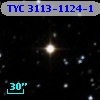 TYC 3113-1124-1