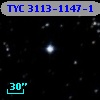 TYC 3113-1147-1