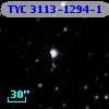 TYC 3113-1294-1