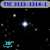 TYC 3113-1314-1