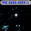 TYC 3113-1377-1