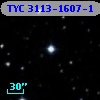 TYC 3113-1607-1
