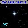 TYC 3113-2117-1