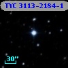 TYC 3113-2184-1