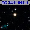 TYC 3117-1065-1
